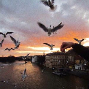 爆操白丝袜美女教头
